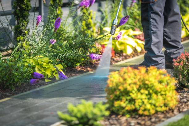 Best Boat and Dock Cleaning  in Basking Ridge, NJ