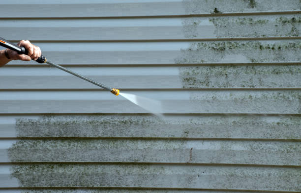 Best Gutter Cleaning  in Basking Ridge, NJ